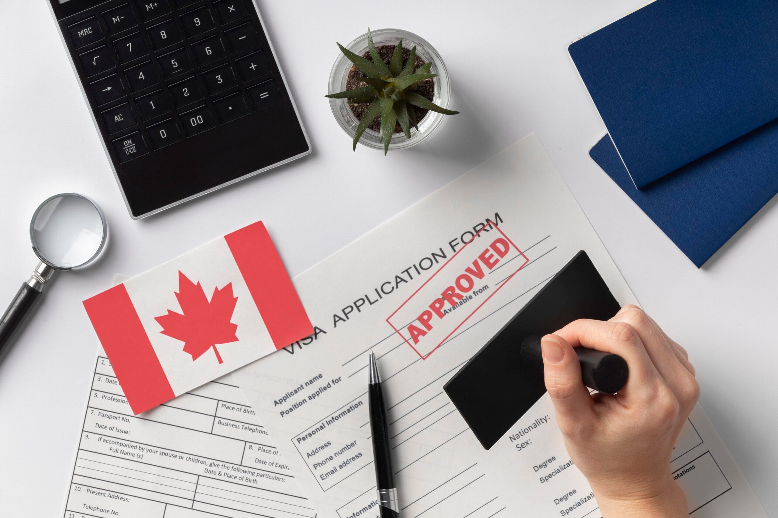 What Makes a Good Canada Immigration Consultant?